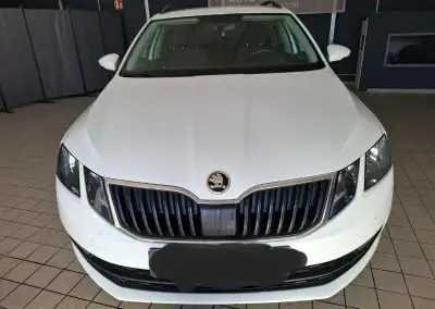 Škoda OCTAVIA – 2018, 170 000 km