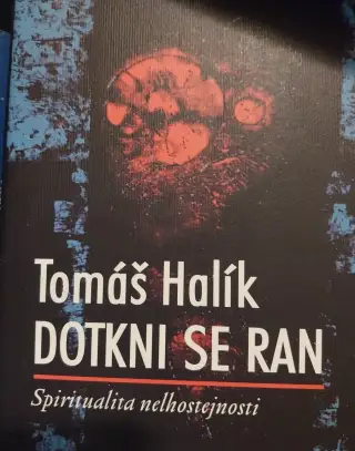 Poetika poetické prekladu