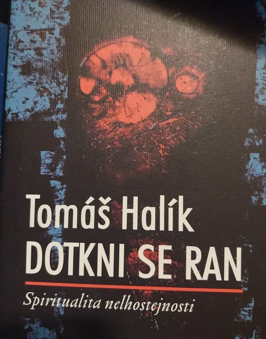 Poetika poetické prekladu