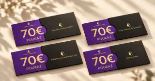 Darujem poukážky Dajana Rodriguez 70 €