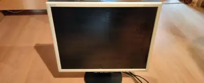 Starší 20 " LCD monitor značky NEC