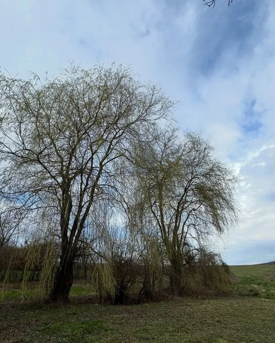 Predaj pozemku 1151 m² – Čoltovo, okres Rožňava – pri vodnej