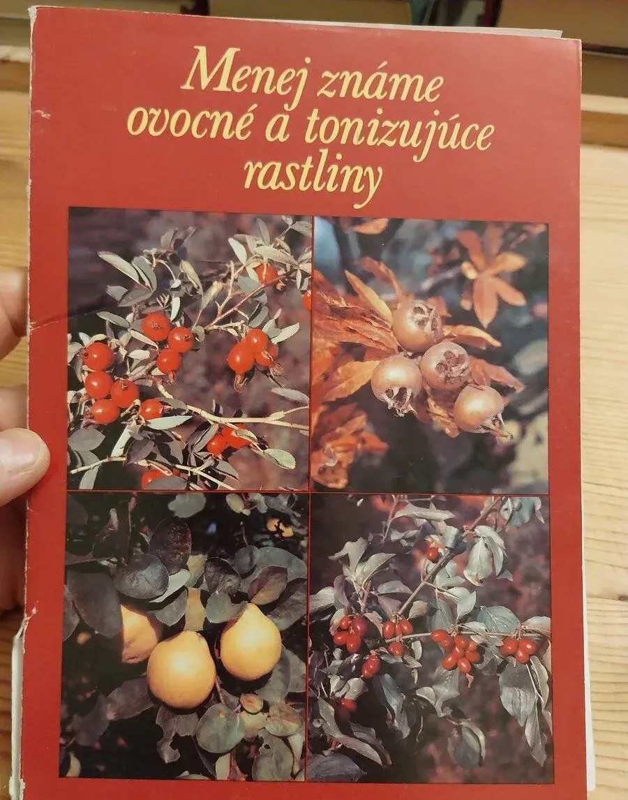 Menej známe ovocné a tonizujúce rastliny