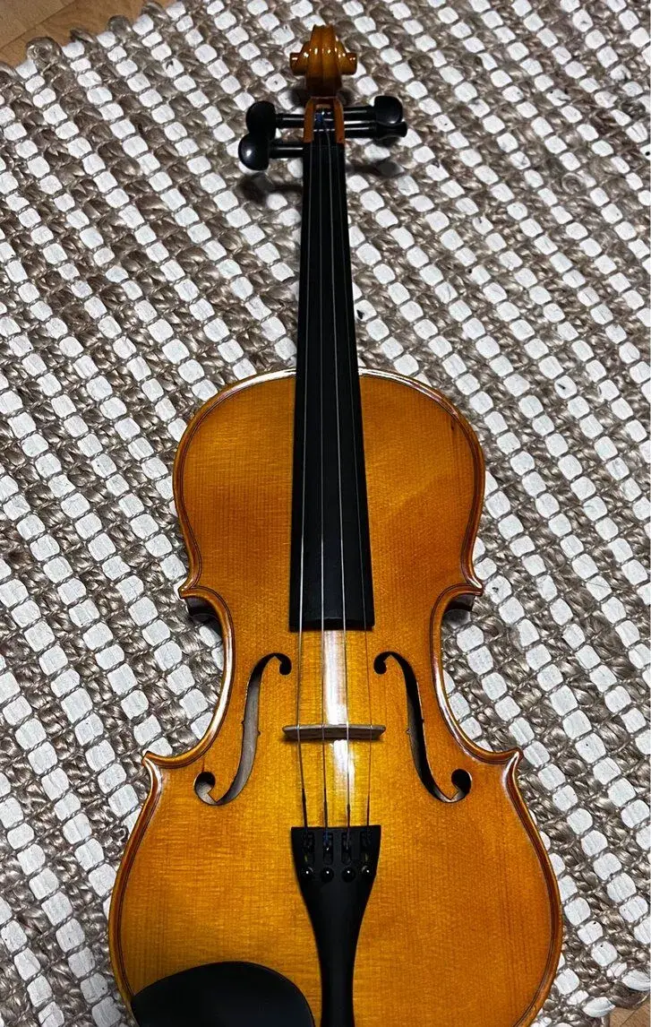 Viola, 15,5 40,5 cm