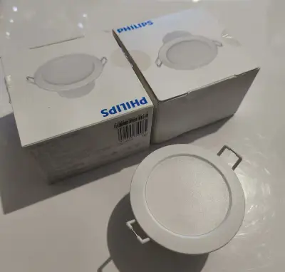 Philips ZhiRui downlight