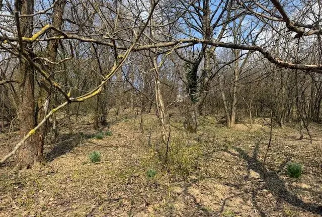 Záhrada - potencionálne investičný pozemok
